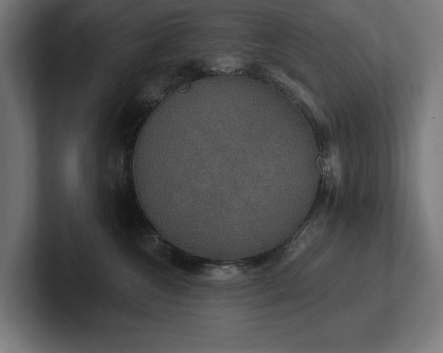 X0000102410572200808011610