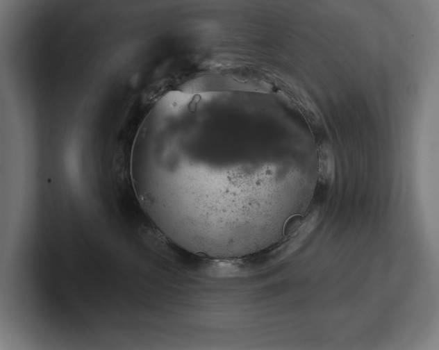 X0000102410573200808011610