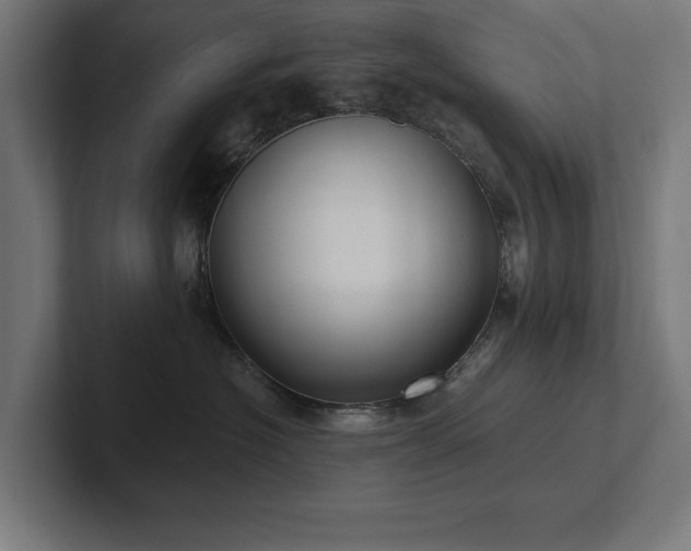 X0000102410574200808011610