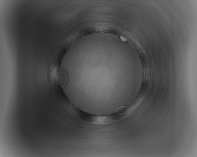 X0000102410575200808011610