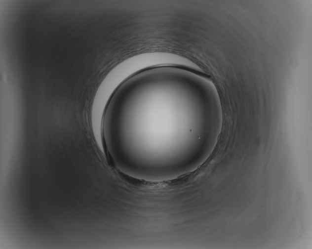 X0000102410576200808011610