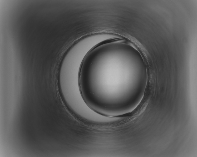X0000102410577200808011609