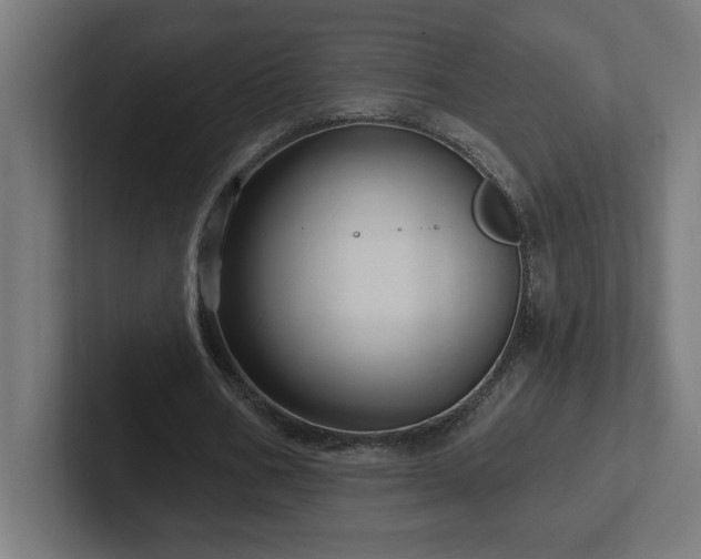 X0000102410578200808011609