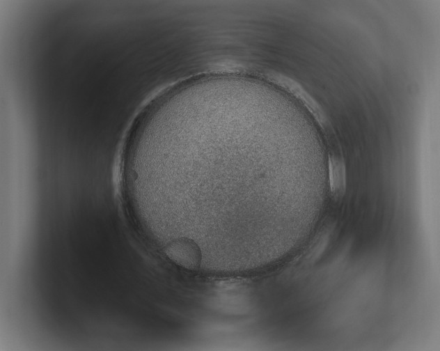 X0000102410579200808011609