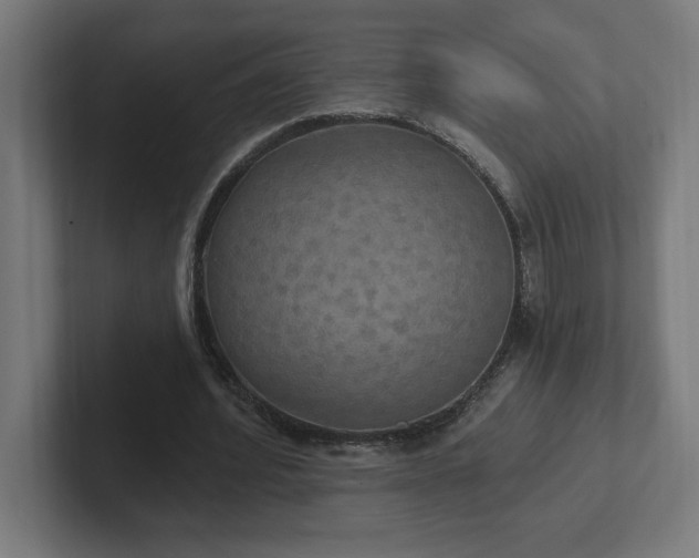 X0000102410580200808011609