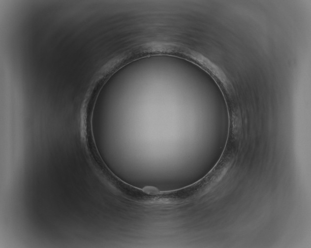 X0000102410581200808011609