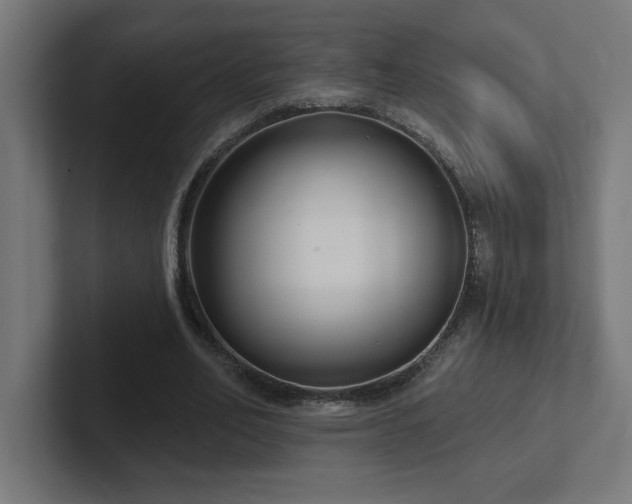 X0000102410582200808011609