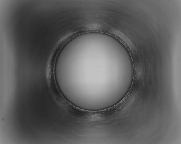 X0000102410583200808011609