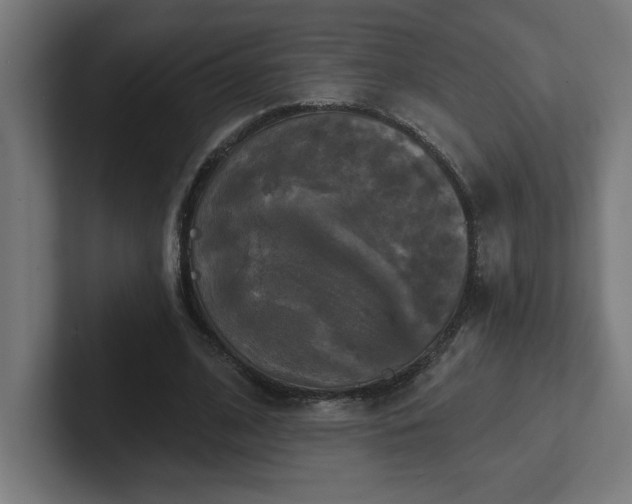 X0000102410584200808011609