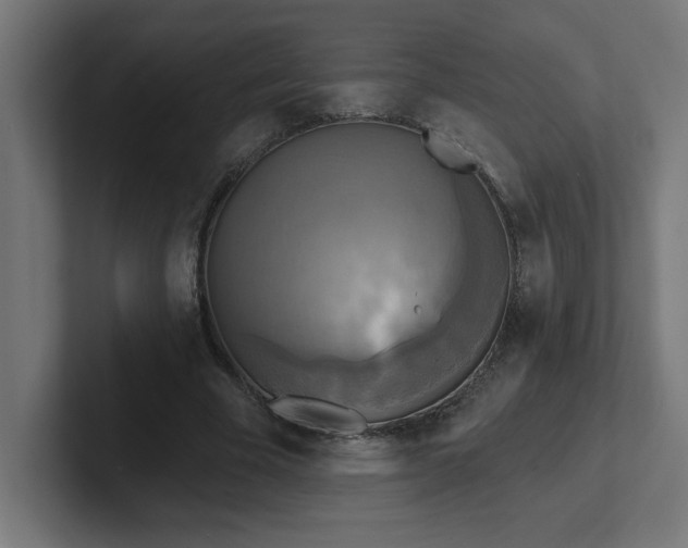 X0000102410585200808011609