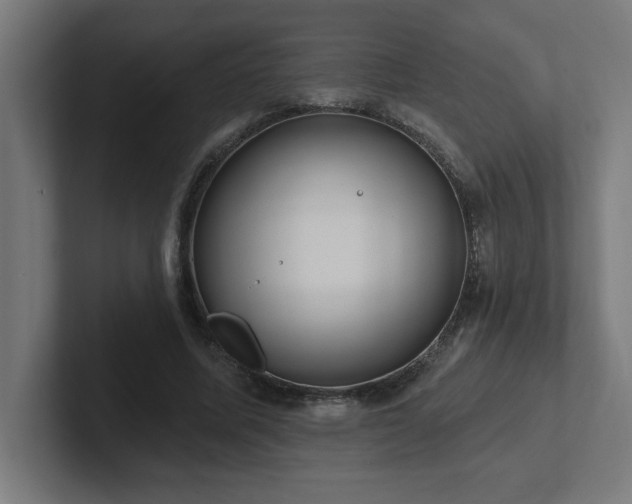 X0000102410587200808011609