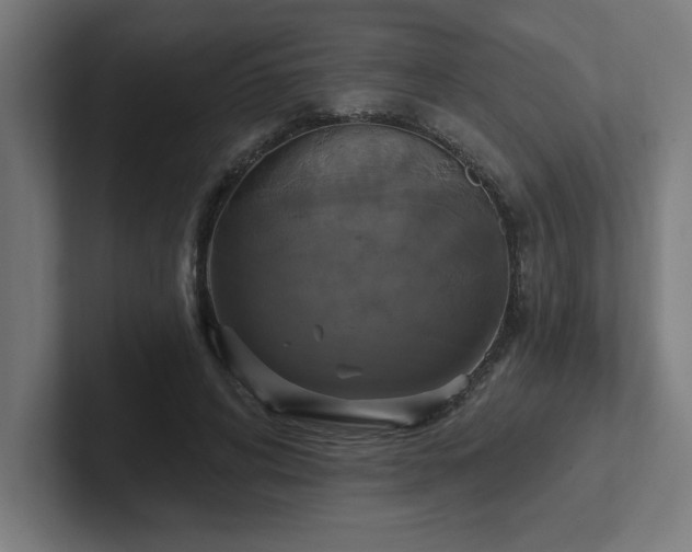 X0000102410592200808011609