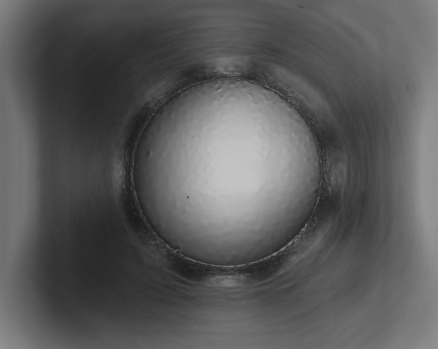 X0000102410595200808011609