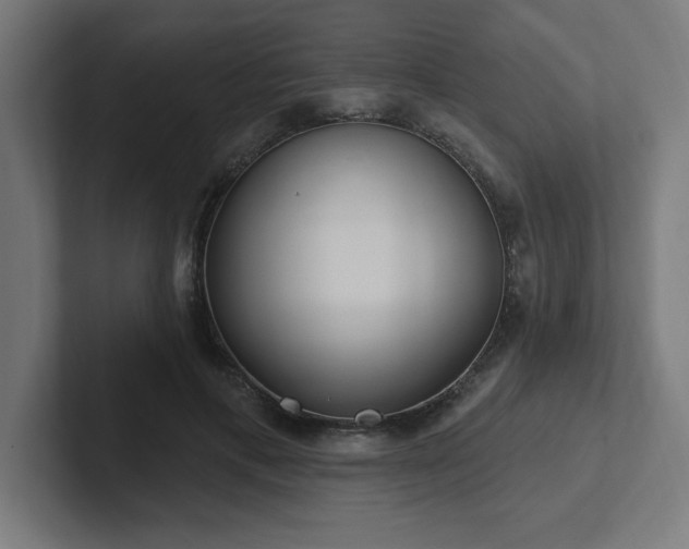 X0000102410597200808011609