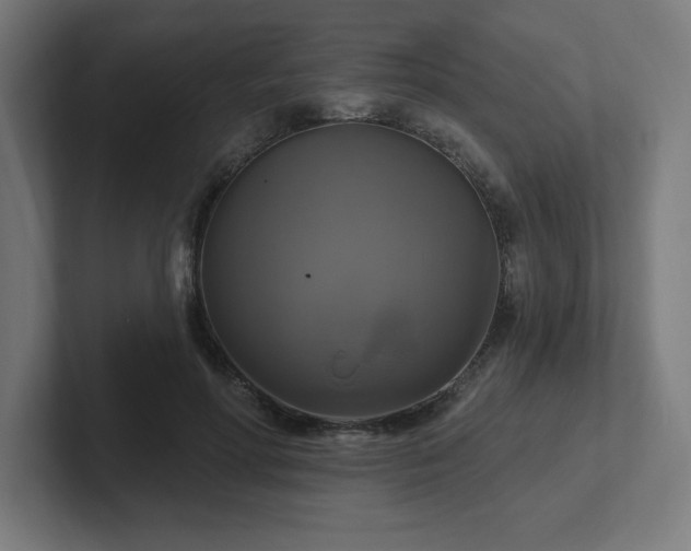 X0000102410598200808011609