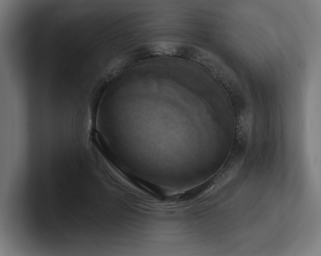 X0000102410600200808011609