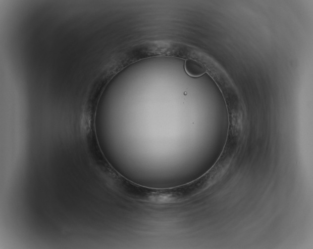 X0000102410602200808011609
