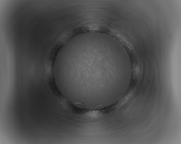 X0000102410609200808011609