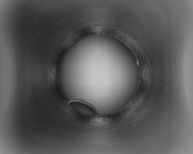X0000102410611200808011609