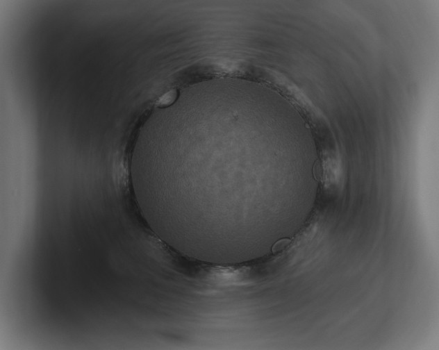 X0000102410613200808011609
