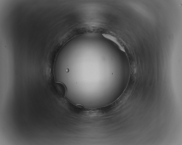 X0000102410615200808011609