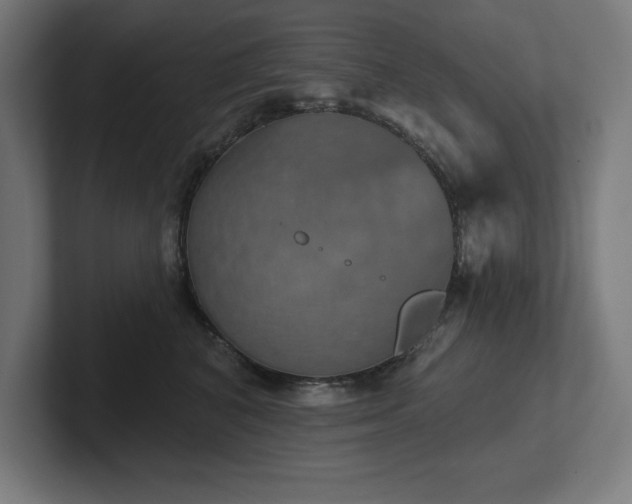 X0000102410616200808011609