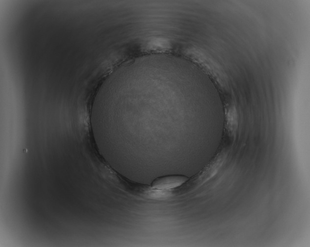 X0000102410617200808011609