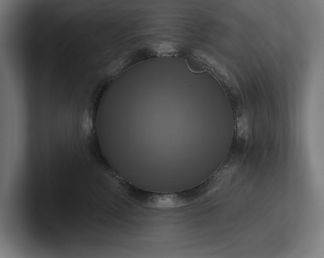 X0000102410618200808011609