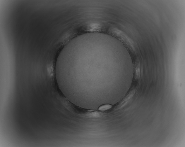 X0000102410620200808011609
