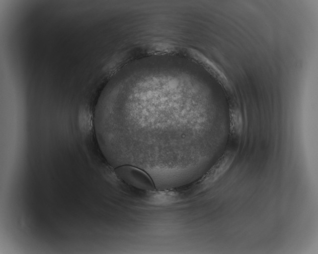 X0000102410621200808011609