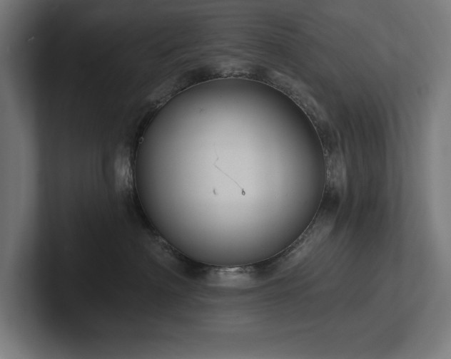 X0000102410622200808011609