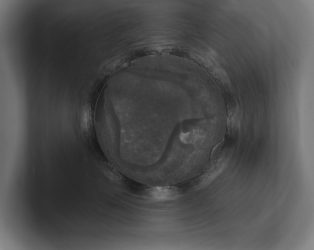 X0000102410623200808011609