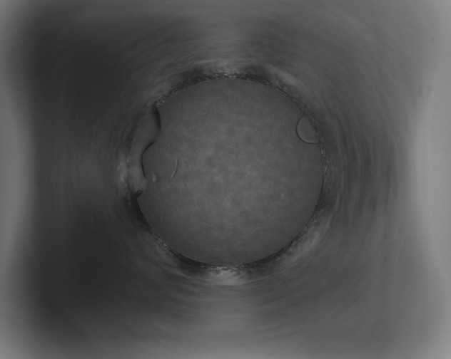 X0000102410624200808011609