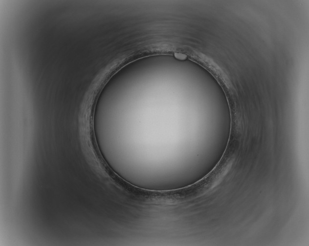 X0000102410625200808011608