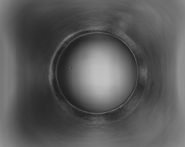X0000102410628200808011608