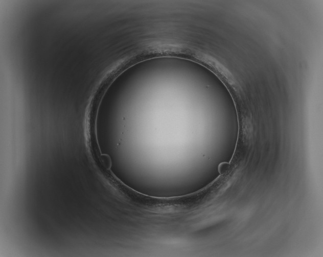 X0000102410629200808011608