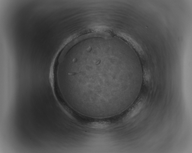 X0000102410630200808011608