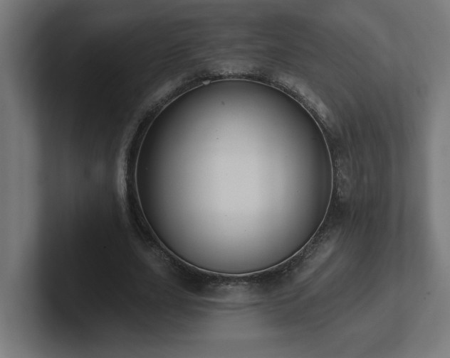 X0000102410631200808011608