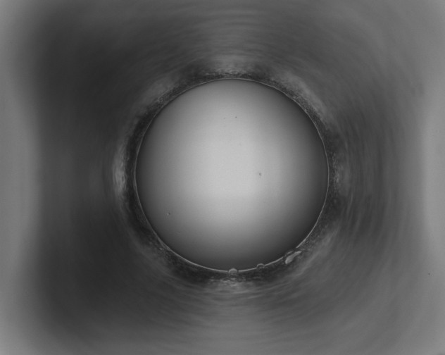 X0000102410635200808011608