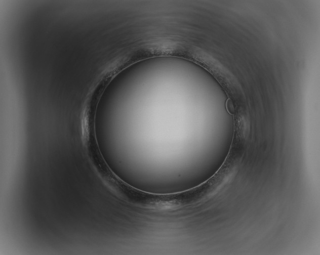 X0000102410638200808011608