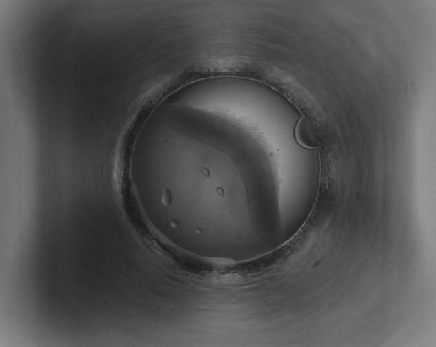 X0000102410640200808011608
