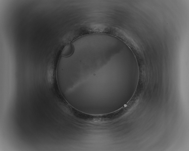 X0000102410641200808011608