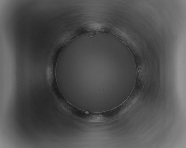 X0000102410642200808011608