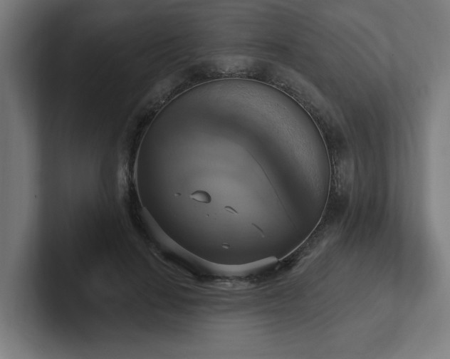 X0000102410644200808011608