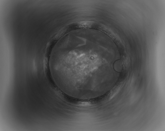X0000102410649200808011608