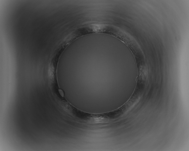X0000102410650200808011608