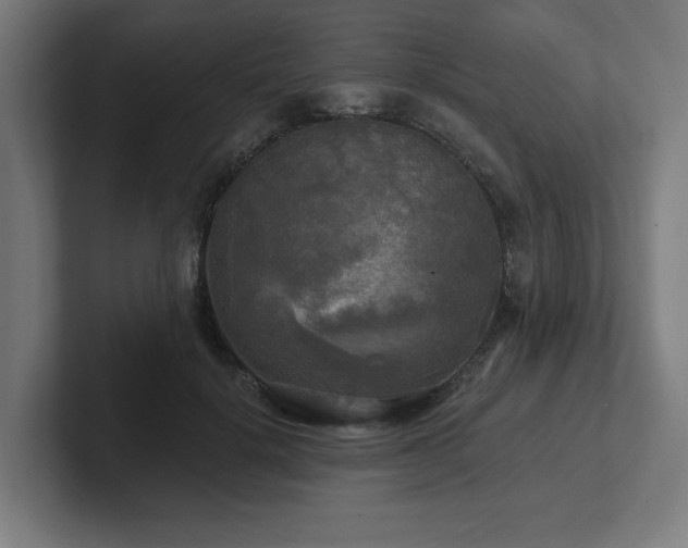 X0000102410652200808011608