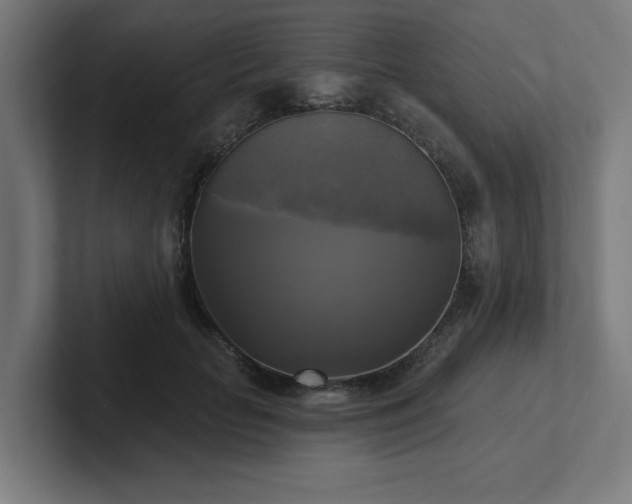 X0000102410653200808011608