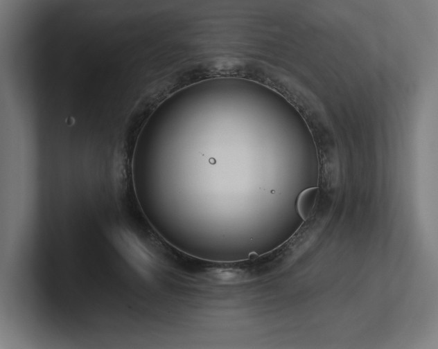 X0000102410654200808011608