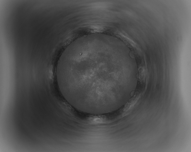 X0000102410655200808011608